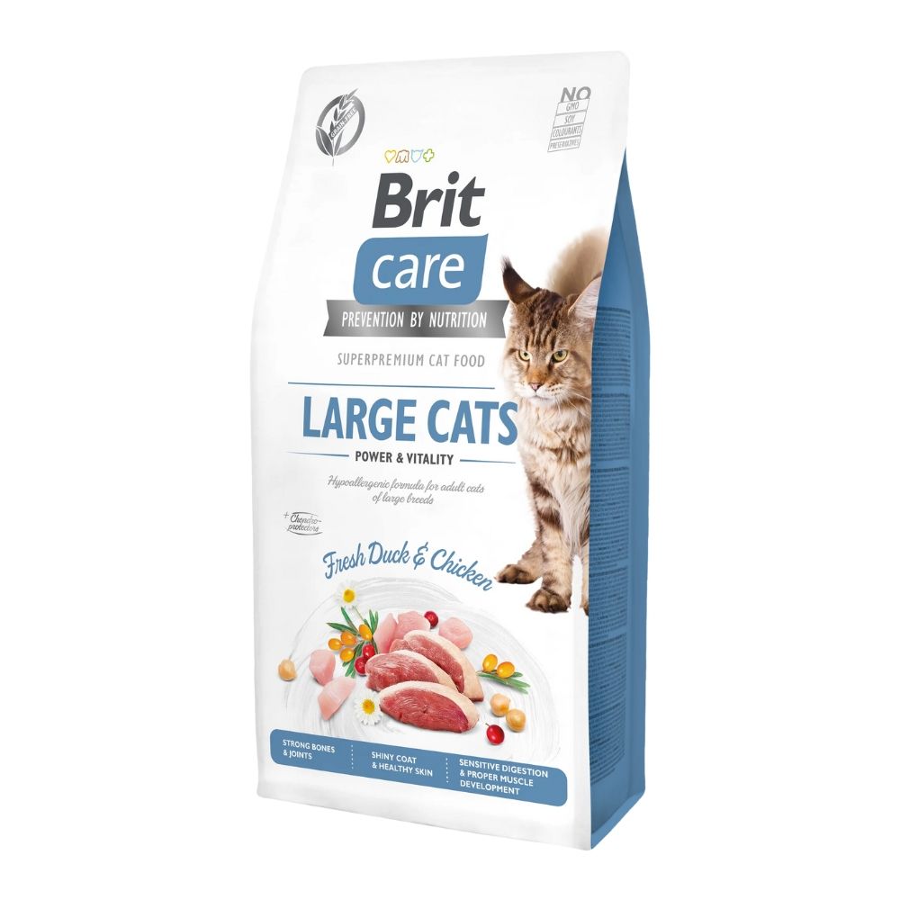 britcarecat_large_cats_power_kacsa_csirke