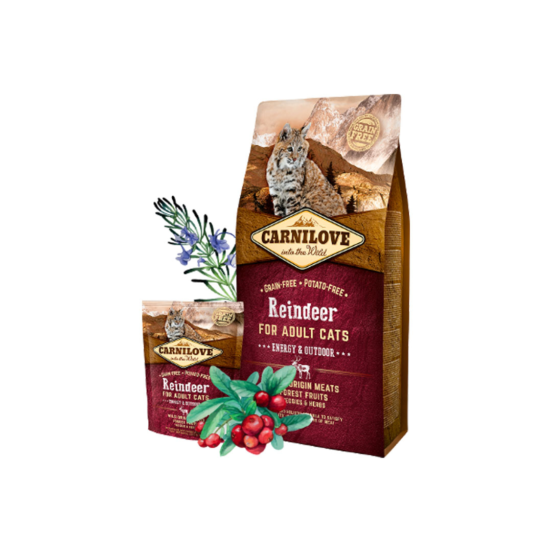 carnilovecatrenszarvas