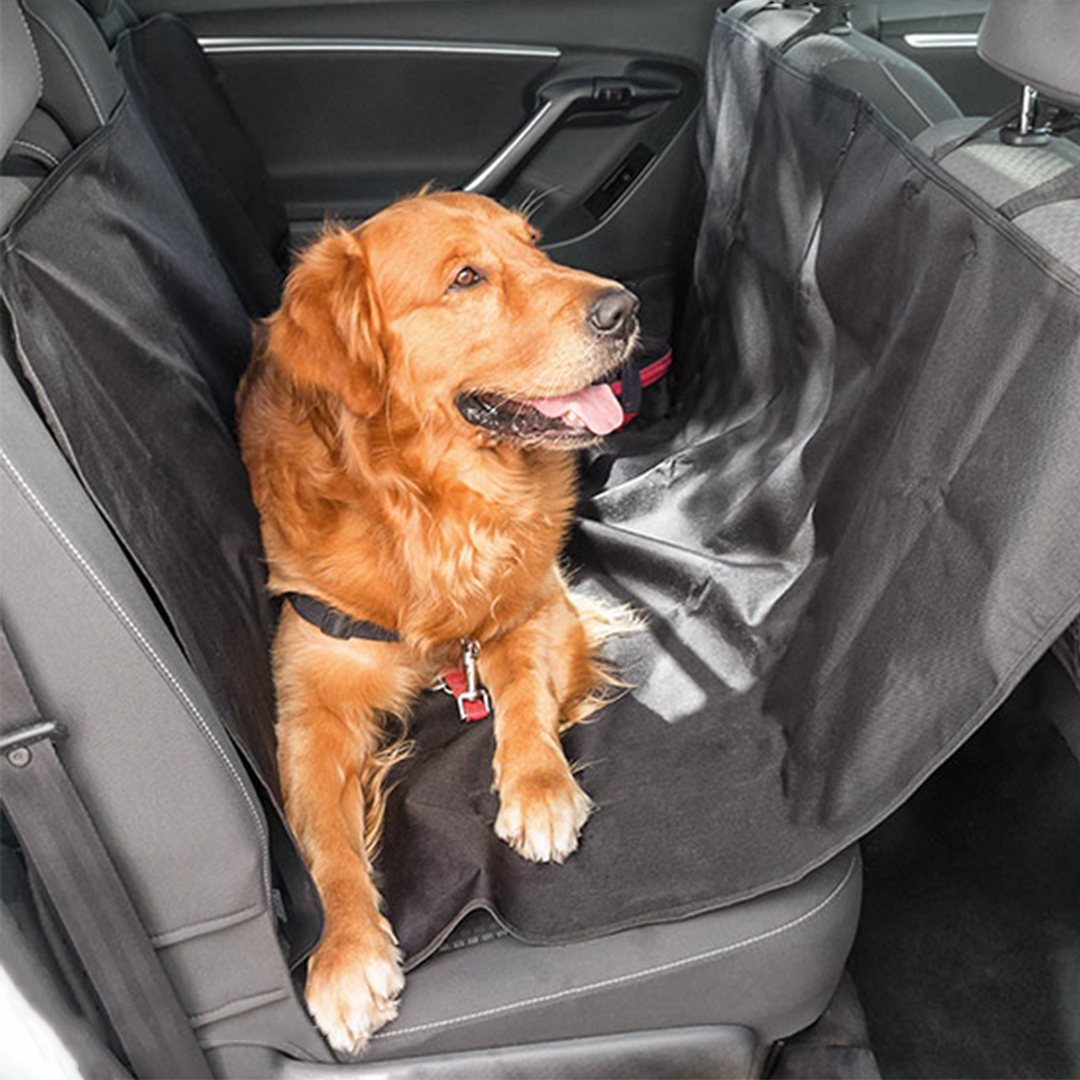 nagymeretuautosulesvedo