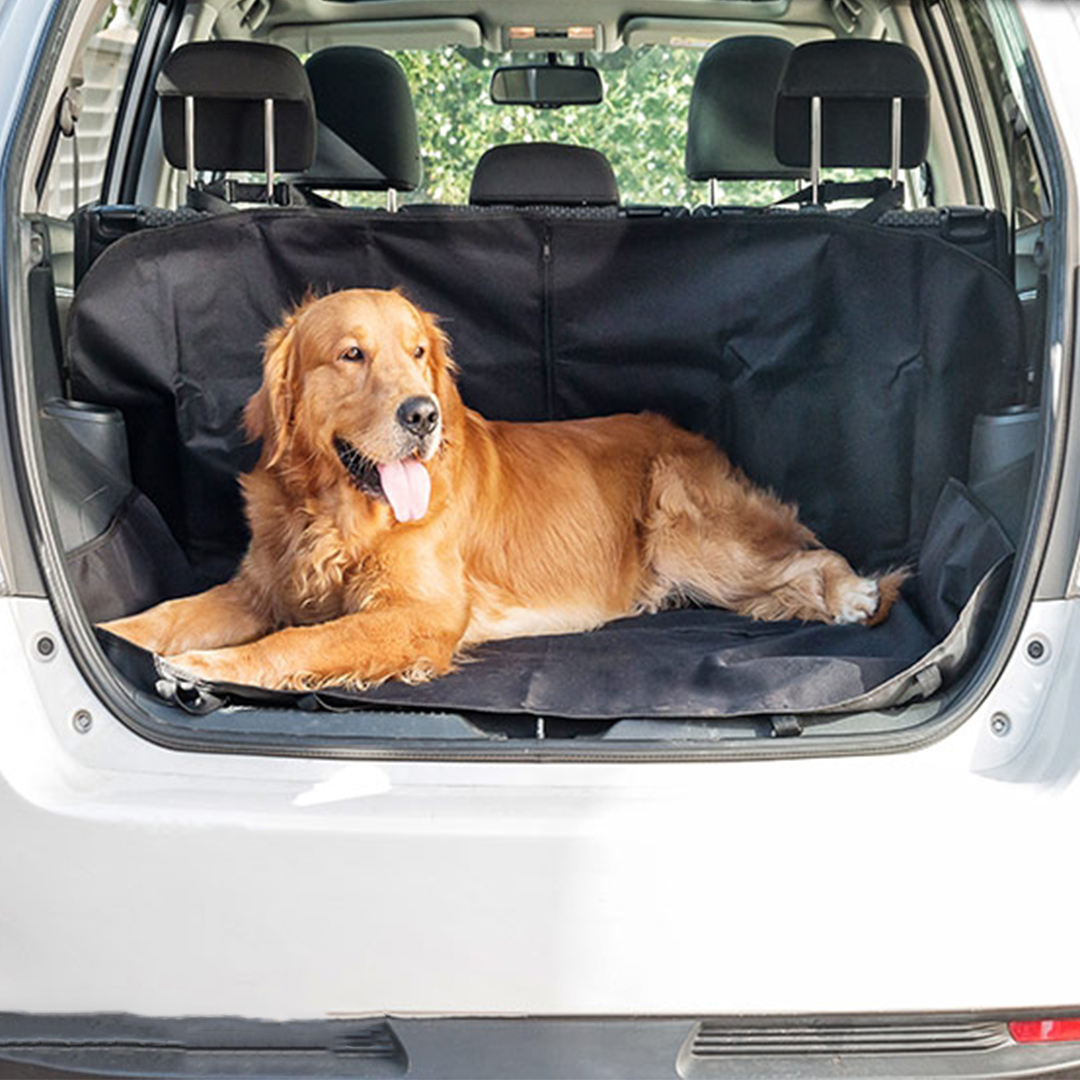 nagymeretuautosulesvedo3