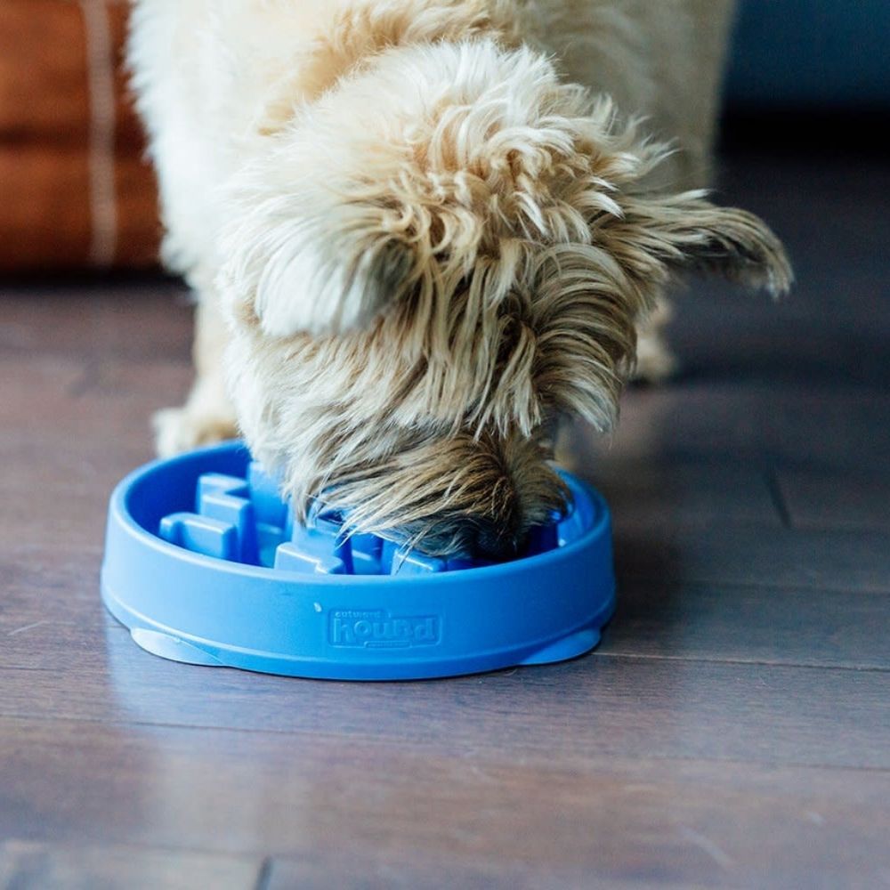 ouh_fun_feeder_slo_bowl